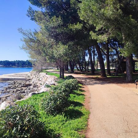 Apartments Novigrad Novigrad  Luaran gambar