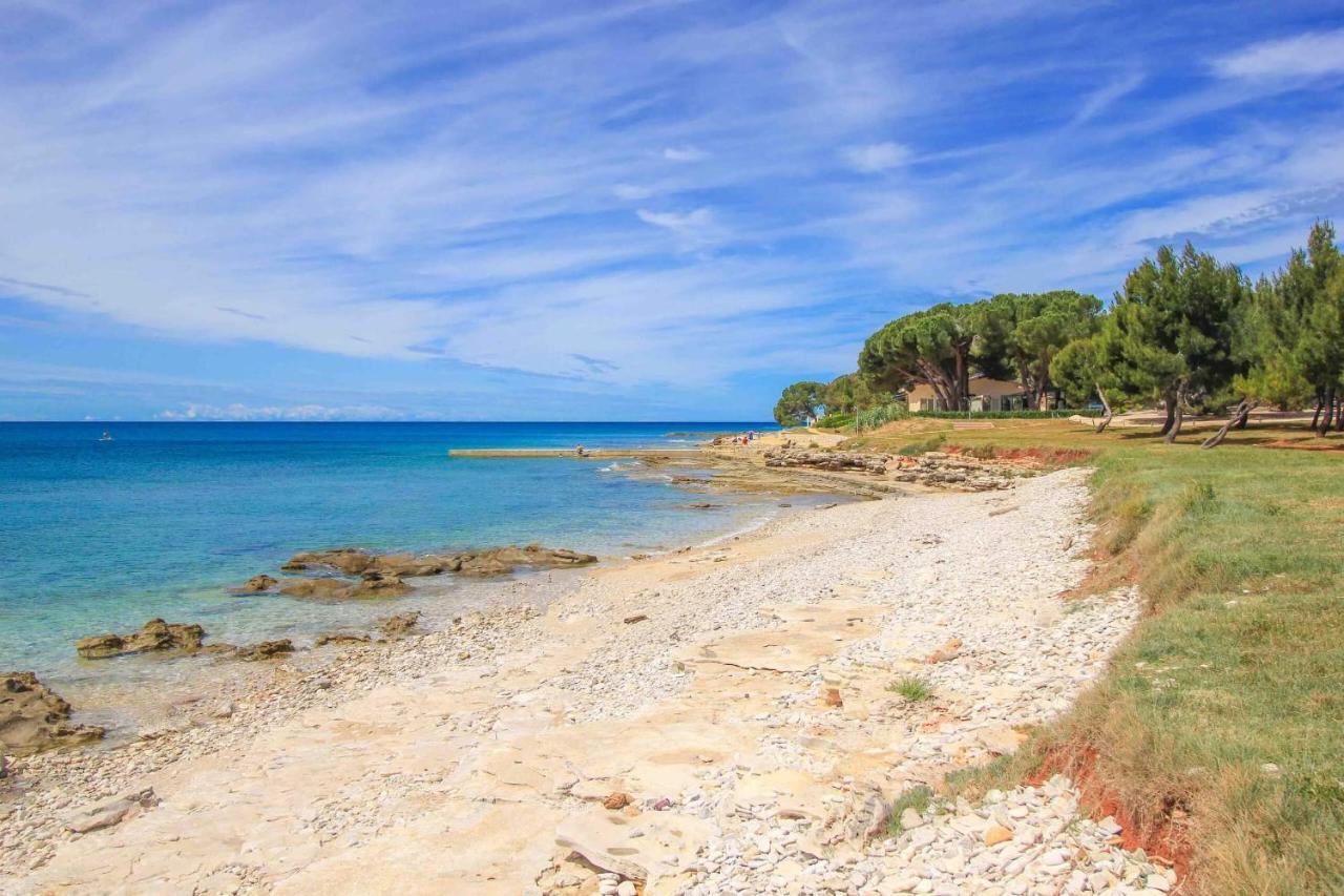 Apartments Novigrad Novigrad  Luaran gambar