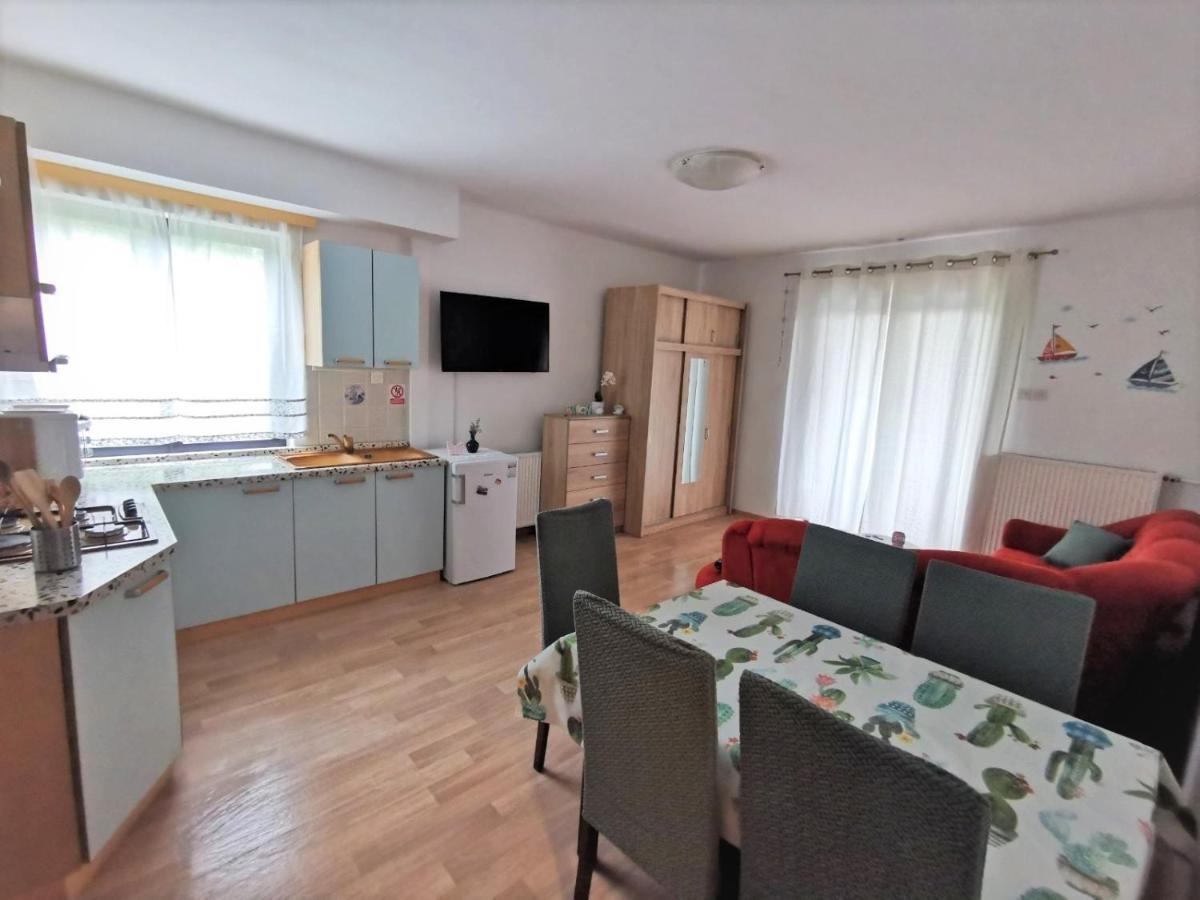 Apartments Novigrad Novigrad  Luaran gambar